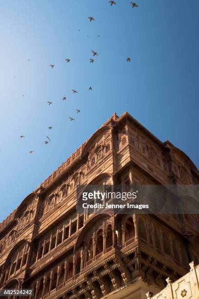 birds flying over mehrangarh fort, jodhpur. - meherangarh fort stock pictures, royalty-free photos & images