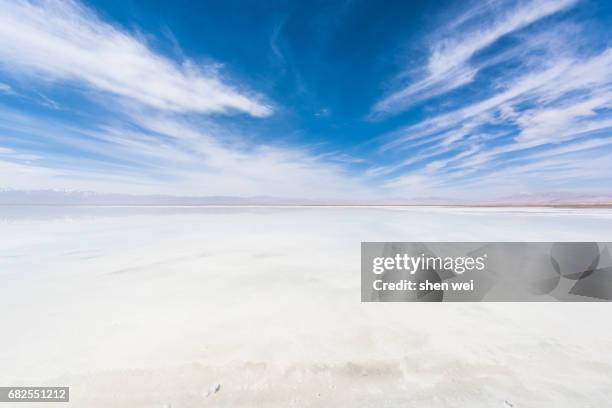 salt flat in qinghai province - lago salgado imagens e fotografias de stock