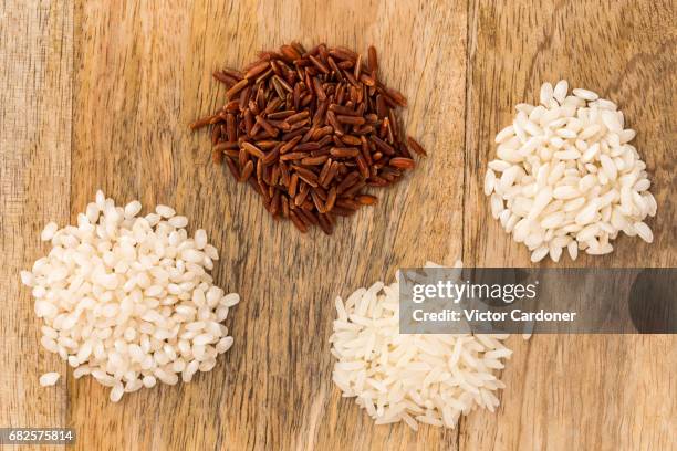 rice - short grain rice stock pictures, royalty-free photos & images