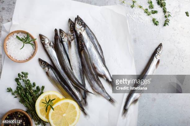 fresh fish capelin - arenque fotografías e imágenes de stock