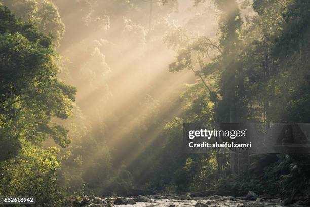Landmark Rompin 24 Endau Rompin National Park Stock Photos, High-Res Pictures, and ...