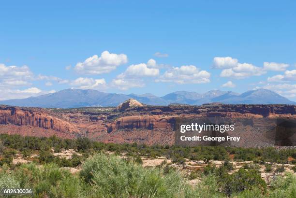 Cedar Tree Range 1,229 Cedar Mountain Range Stock Photos, High-Res Pictures, and Images ...