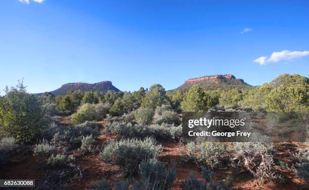 The two bluffs known as the "Bears Ears" stand off in the distance in the Bears Ears National Monument on May 11, 2017 outside Blanding, Utah. The...