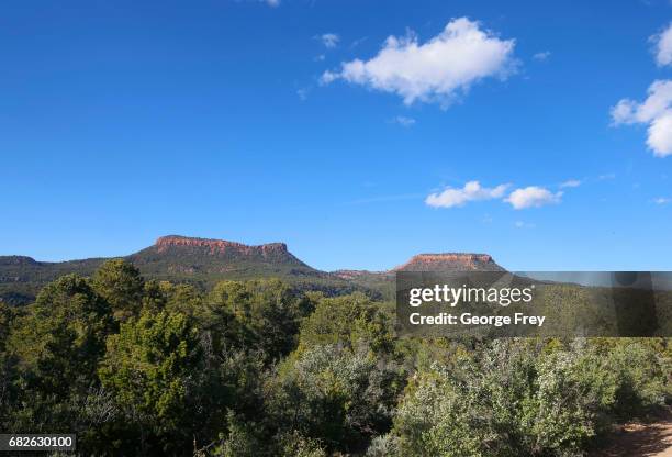 The two bluffs known as the "Bears Ears" stand off in the distance in the Bears Ears National Monument on May 11, 2017 outside Blanding, Utah. The...