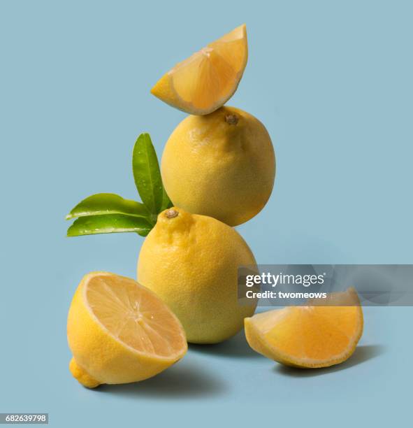 lemon fruit still life. - lemon fruit stock-fotos und bilder