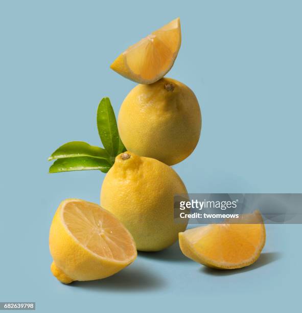 lemon fruit still life. - slice of lemon foto e immagini stock