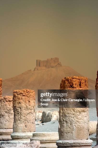 the passing of time in palmyra, syria - shattered stone stock pictures, royalty-free photos & images