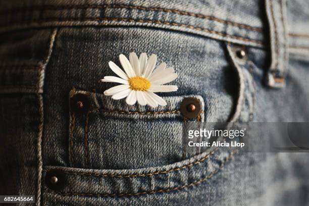 flower in a jeans pocket - anos 60 imagens e fotografias de stock
