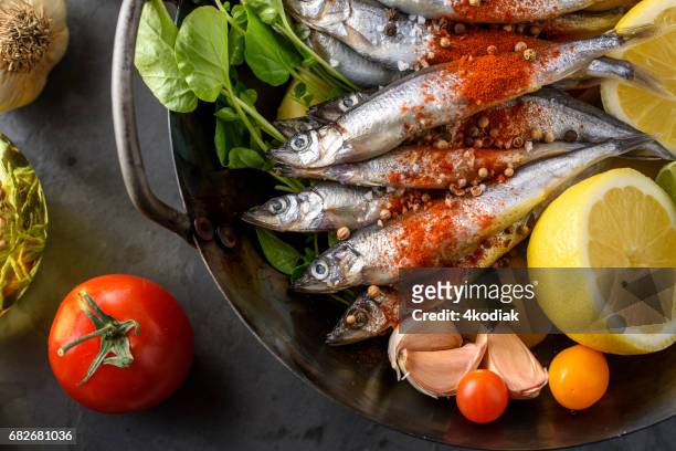 shishamo japonés, peces vela, peces - eperlano fotografías e imágenes de stock