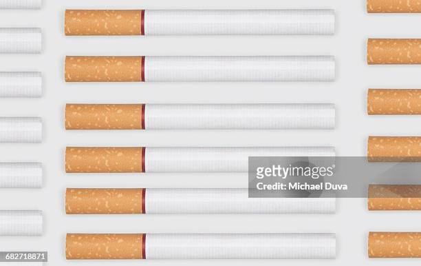 cigarettes in a pattern on white background - cigarette stock pictures, royalty-free photos & images