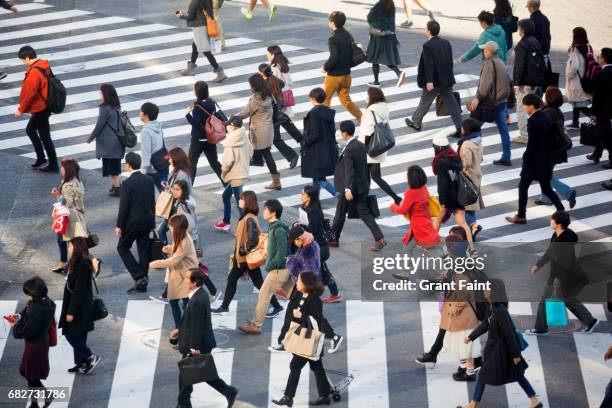 pedestrian crossing. - hauptverkehrszeit stock-fotos und bilder