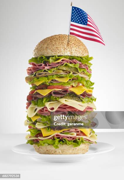 enorme amerikaanse sandwich - large cucumber stockfoto's en -beelden