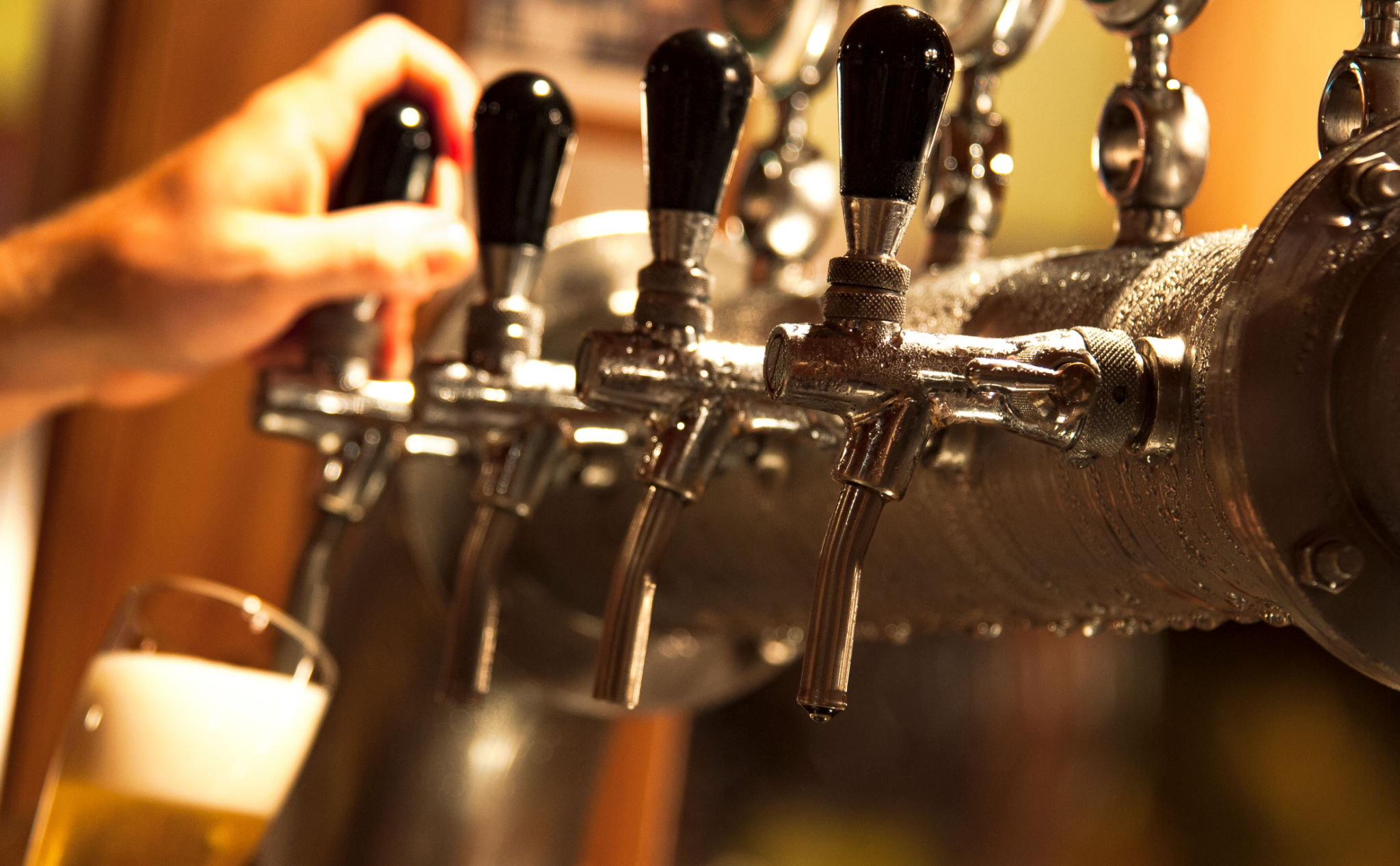 cerveja artesanal