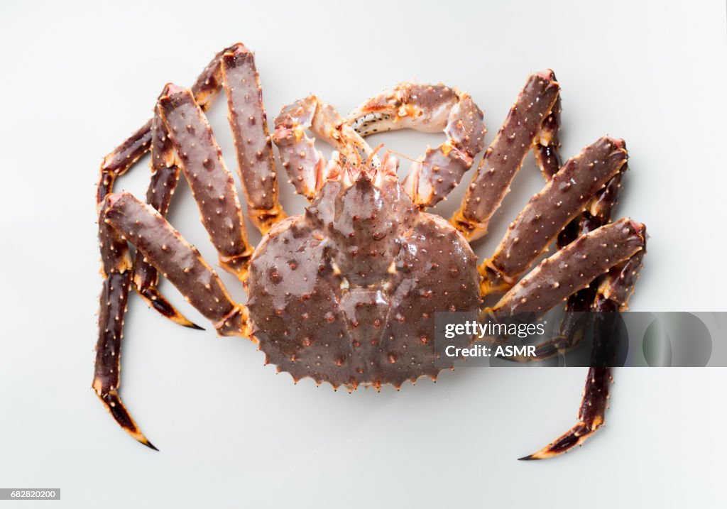 King crab