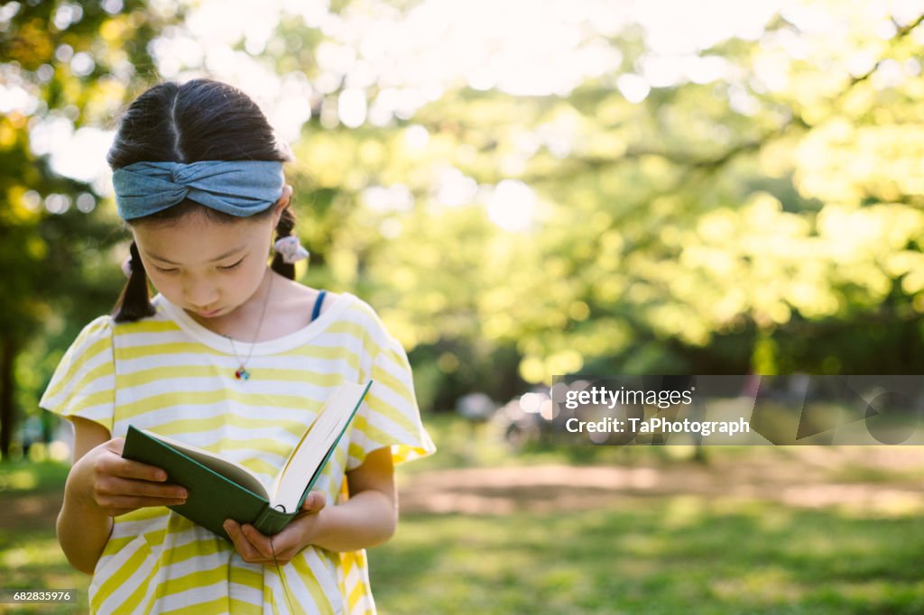 Reading a book in the park in the soft light of the afternoon