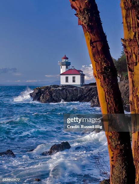 lime kiln lighthouse - madroño del pacífico fotografías e imágenes de stock