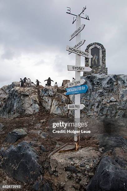 distance signs at gonzalez videla antarctic base - penguin flock stock pictures, royalty-free photos & images