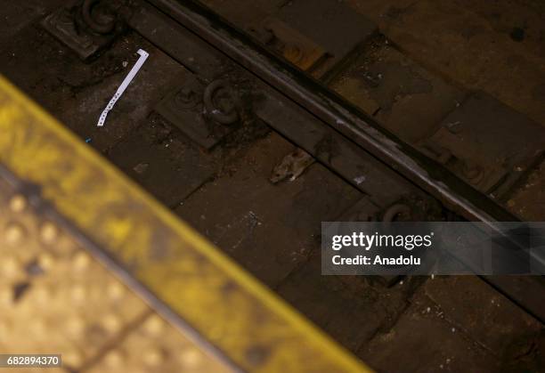 Track Rats Rail Subway Rats Photos and Premium High Res Pictures - Getty Images