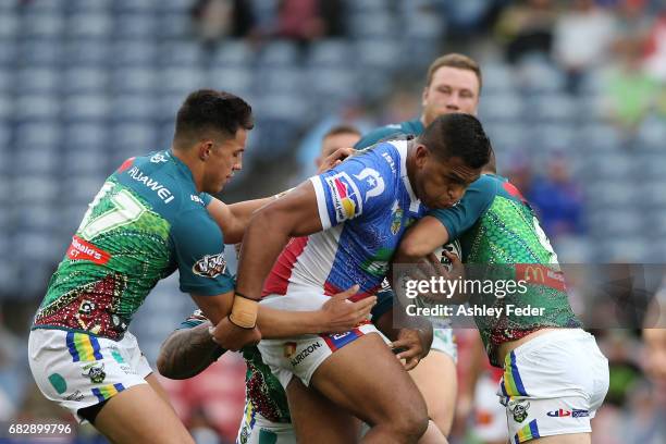 Raiders fan during the round 10 NRL match between the Newcastle Knights and the Canberra Raiders at McDonald Jones Stadium on May 14, 2017 in...