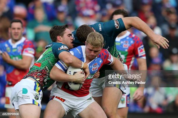 Raiders fan during the round 10 NRL match between the Newcastle Knights and the Canberra Raiders at McDonald Jones Stadium on May 14, 2017 in...