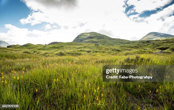 scottish highlands - schöne natur stock pictures, royalty-free photos & images