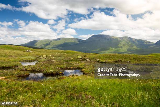 scottish highlands - schöne natur stock pictures, royalty-free photos & images