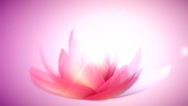 https://media.gettyimages.com/id/682915792/video/abstract-lotus-background.jpg?b=1&s=640x640&k=20&c=3952ezIBj7KhrL4kRTY1hS0StBkPn2HyTOeQ-8z0Fas=