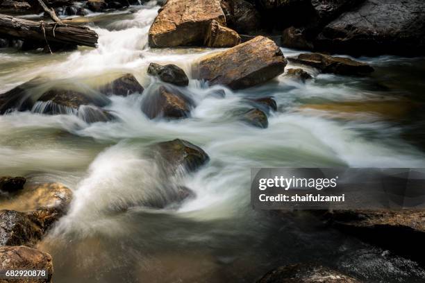 Landmark Rompin 24 Endau Rompin National Park Stock Photos, High-Res Pictures, and ...