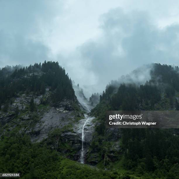 bavaria alps - regenwetter - wald nebel stock-fotos und bilder