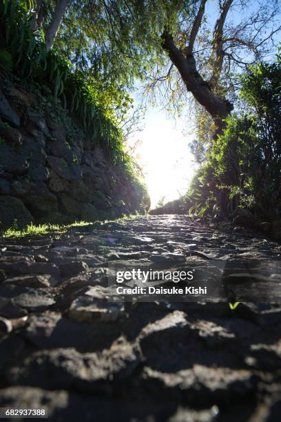 a path in funchal, madeira - baía do funchal imagens e fotografias de stock