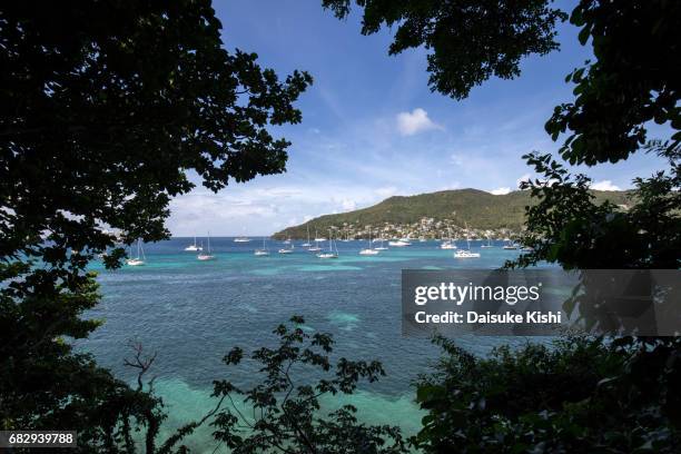 the scenery of bequia, grenadines - bequia stock pictures, royalty-free photos & images