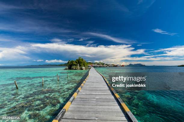 建立在印尼蘇拉威西島珊瑚礁的木碼頭 - sulawesi 個照片及圖片檔