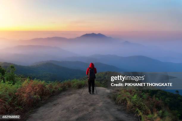 photographerat on doi inthanon national park with beautiful sunrise chiang mai province, thailand - photographer taking pictures nature stock pictures, royalty-free photos & images