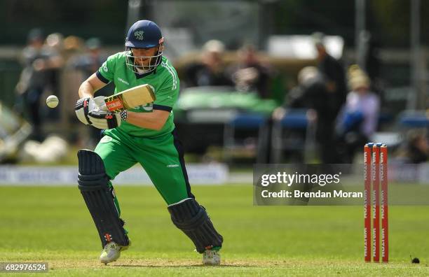 Dublin , Ireland - 14 May 2017; Niall O'Brien of Ireland during the One Day International match between Ireland and New Zealand at Malahide Cricket...