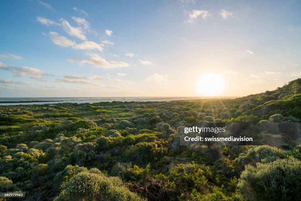 Sunset by the sea, South Africa