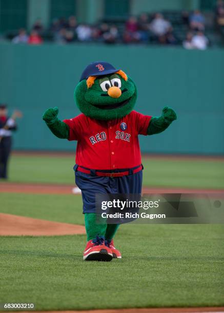 Wally the Green Monster, the official mascot of the Boston Red Sox, waves to the fans before a game against the Tampa Bay Rays at Fenway Park on May...