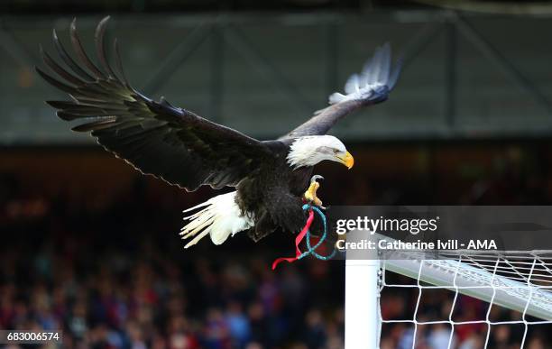 Kayla the Eagle mascot of Crystal Palace sits on the goal before the Premier League match between Crystal Palace and Hull City at Selhurst Park on...