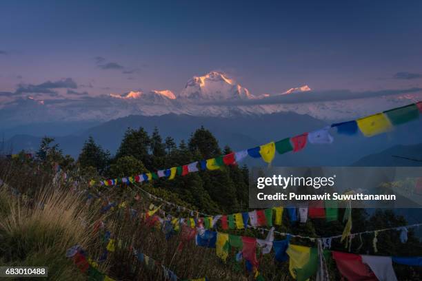 dhaulagiri mountain peak at sunrise from poon hill view point, abc, pokhara, nepal - pokhara stock pictures, royalty-free photos & images