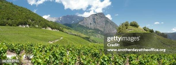 saillon vineyards rhone valley - rhone stock pictures, royalty-free photos & images
