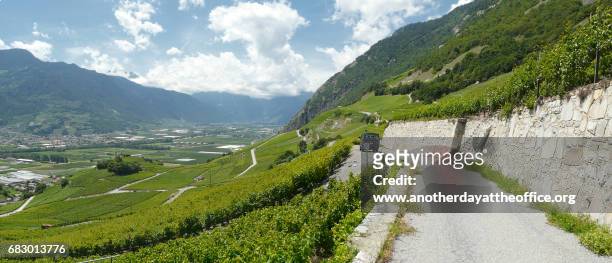 saillon vineyards rhone valley - rhone stock pictures, royalty-free photos & images