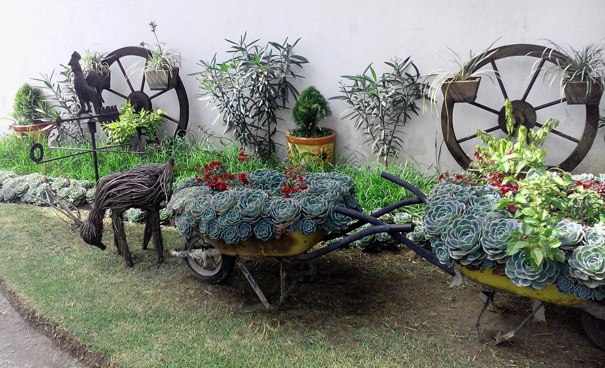 servicios jardinería