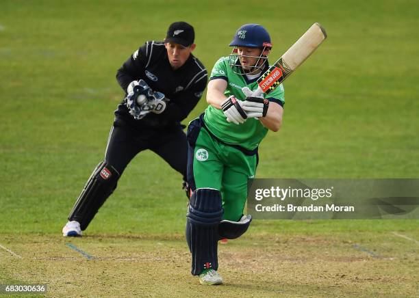 Dublin , Ireland - 14 May 2017; Niall O'Brien of Ireland is caught and stumped by wicketkeeper Luke Ronchi of New Zealand during the One Day...
