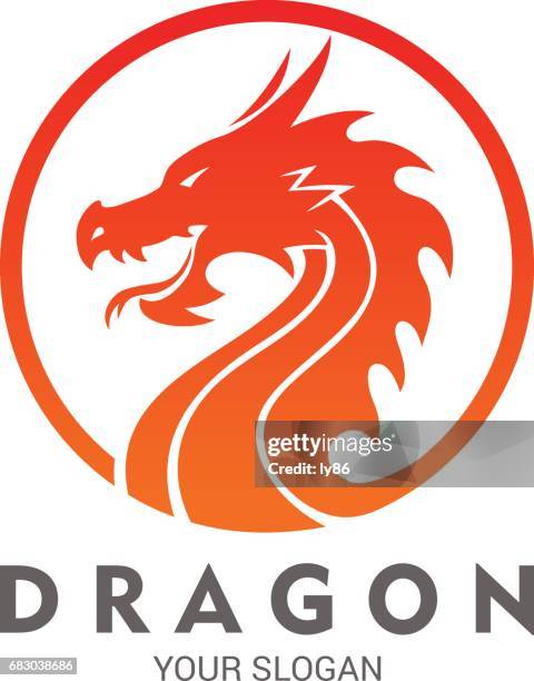 dragon - chinese water dragon stock illustrations