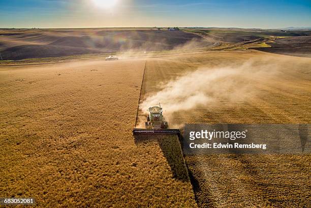 palouse harvest time - cereal overhead stock-fotos und bilder