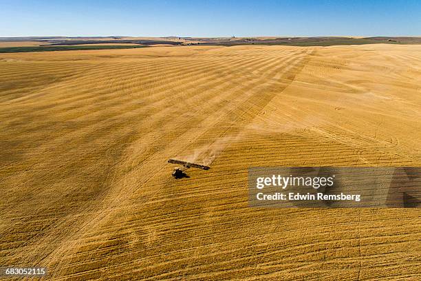 harrowing experience - field stubble stock pictures, royalty-free photos & images