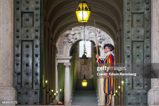 guard in front of entrance - vatican photos et images de collection