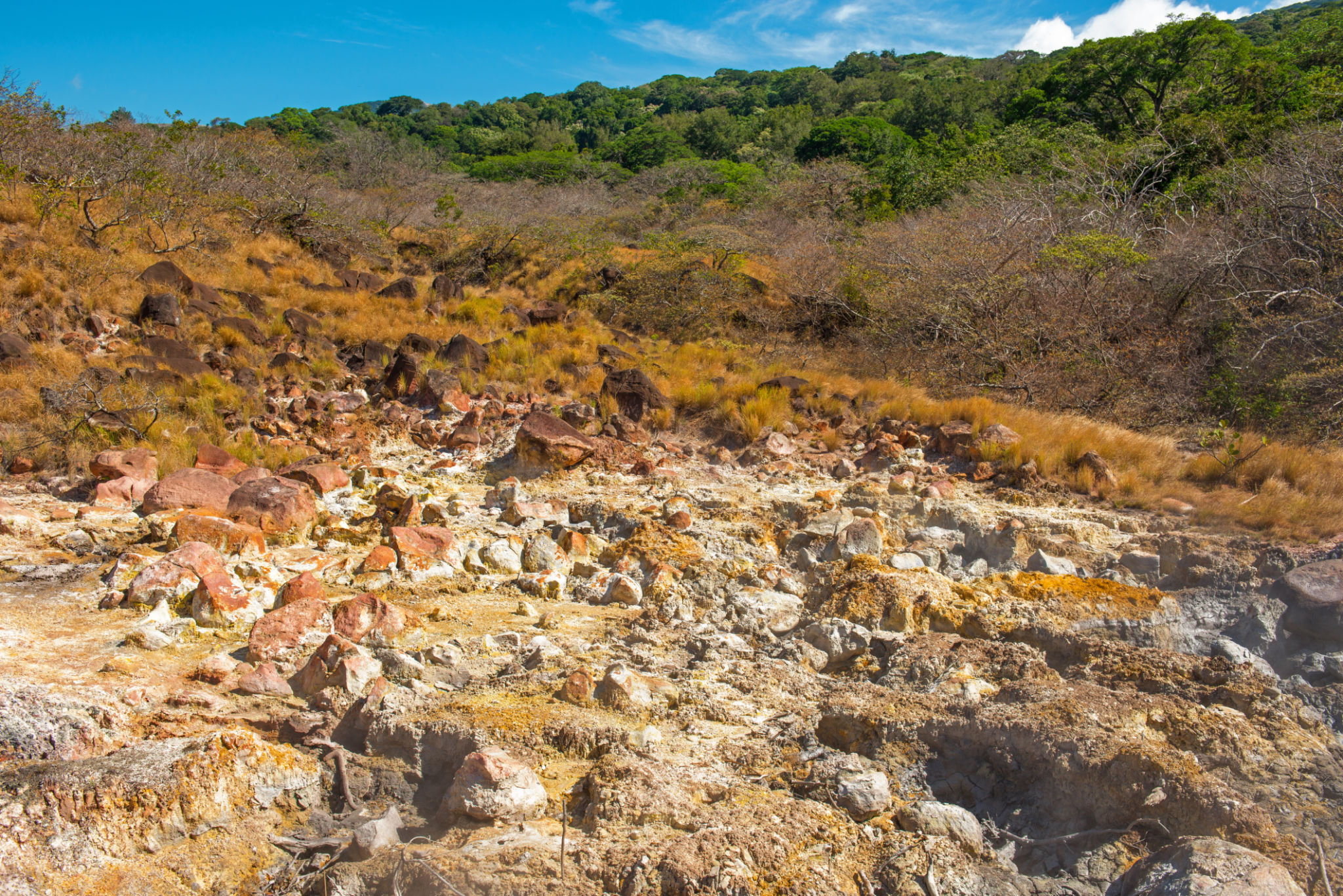 rincon de la vieja