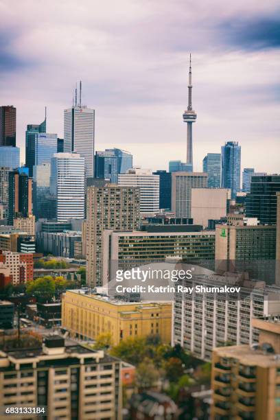 spring portrait of toronto downtown - toronto downtown stock pictures, royalty-free photos & images