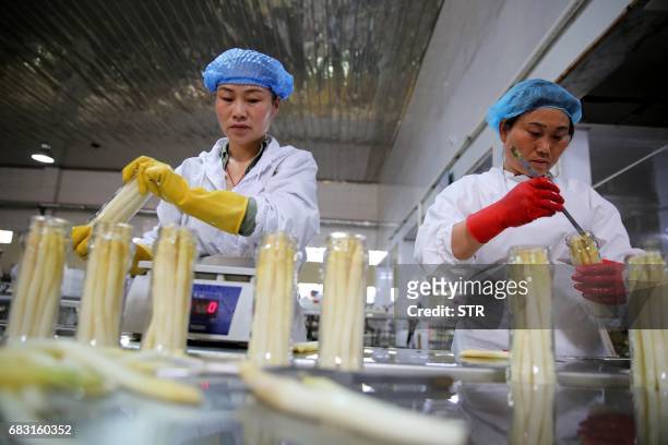 This photo taken on May 13, 2017 shows workers packaging asparagus at a food processing plant in Huaibei, in China's Anhui province. Products from...