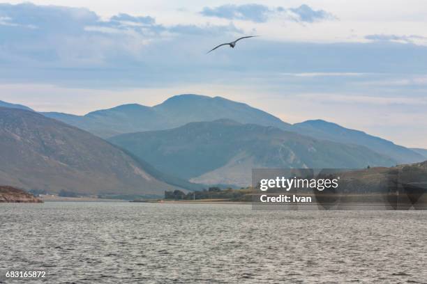 dramatic nature view with seagulls, lake and mountain in scottish nature park - glen sligachan 個照片及圖片檔